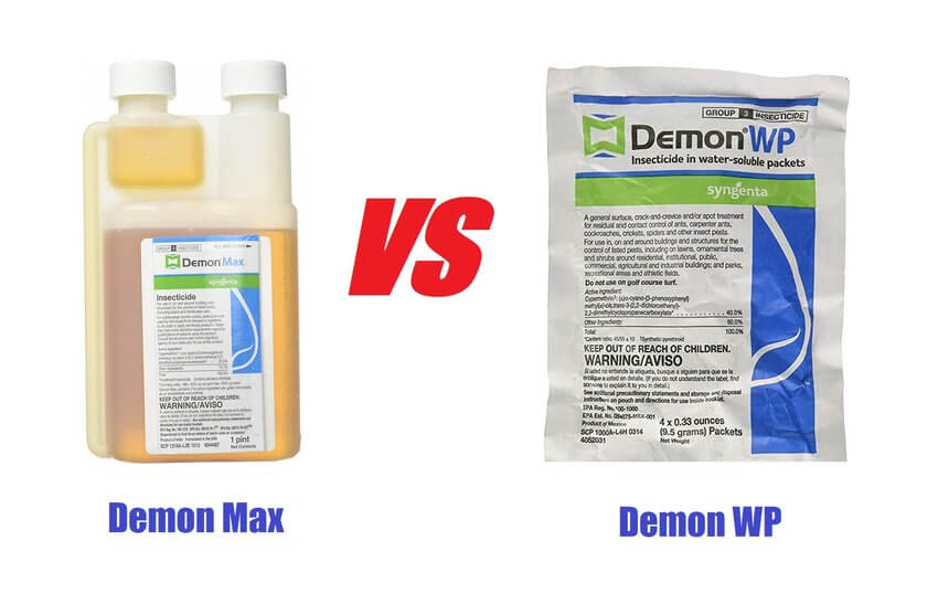 demon max vs demon wp